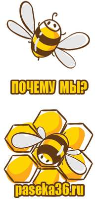 Мед разнотравье 3л